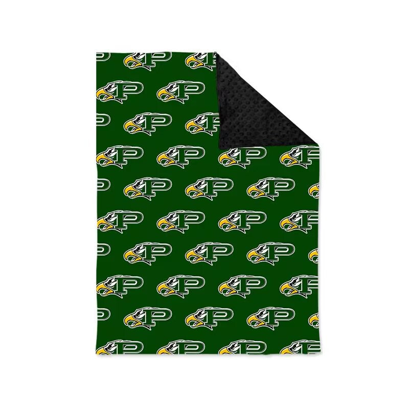 custom style EAGLES green black baby blanket
