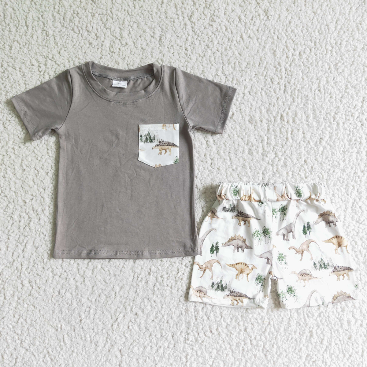D11-12 Grey Short Sleeve Dino Boys Set