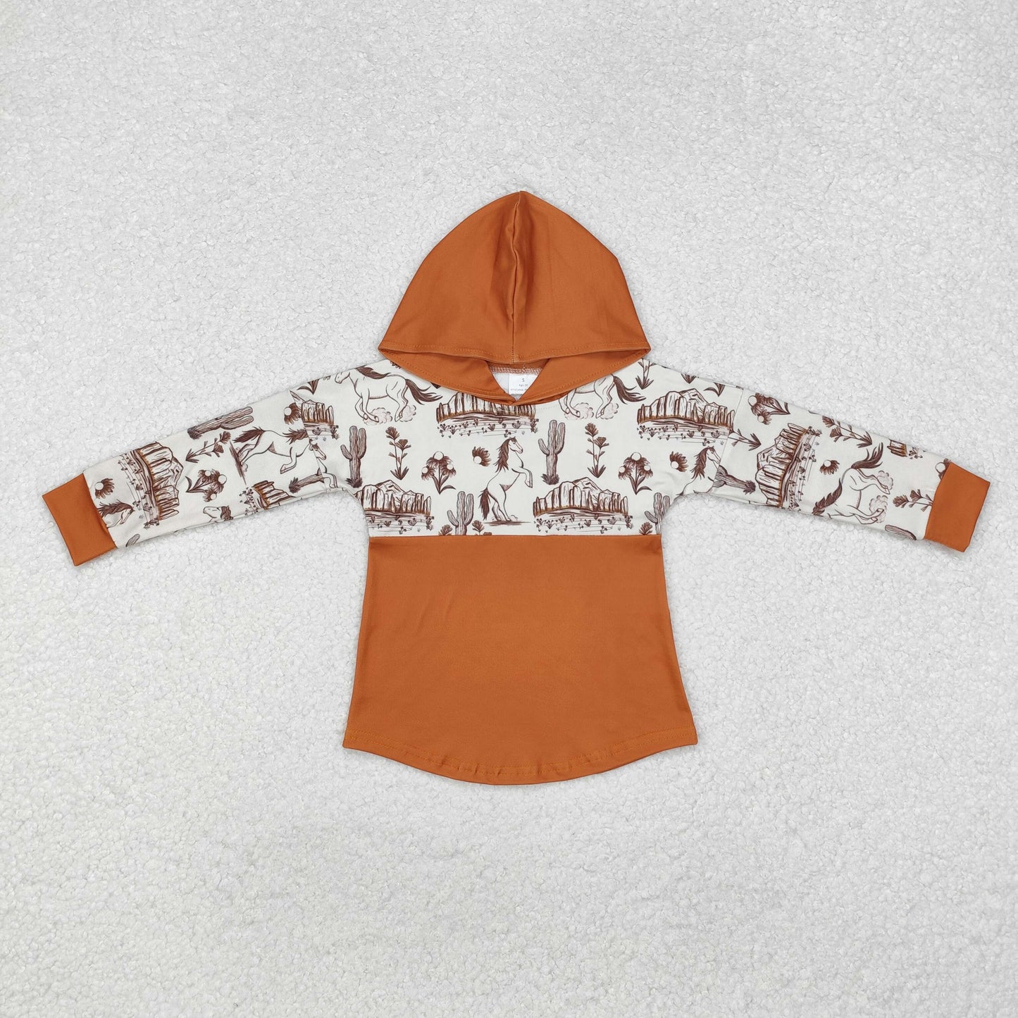 BT0750 Western horse cactus brown long sleeve boys hoodie top